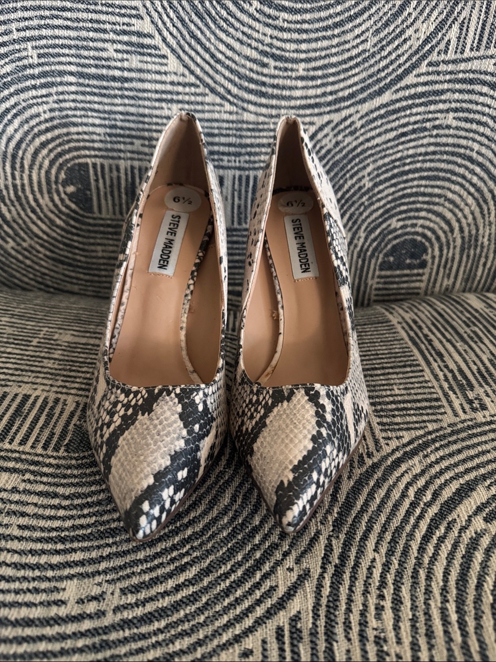 Steve Madden Snake-Print Pointed Toe Pumps in Black and Cream Sz 6.5 Business